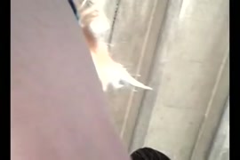 Video freex hentai inocentes manoseada en tren